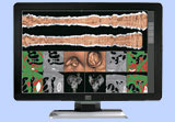 monitor diagnostici